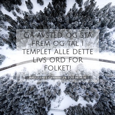 Picture 07 - Apostlenes gjerninger 5:20 NORSK - Gå avsted, og stå frem og tal i templet alle - Bible Verse Picture