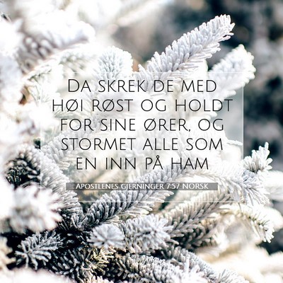 Picture 07 - Apostlenes gjerninger 7:57 NORSK - Da skrek de med høi røst og holdt for sine - Bible Verse Picture