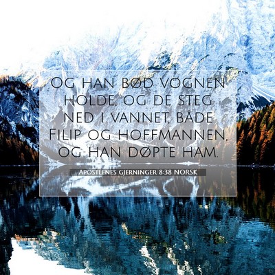 Picture 07 - Apostlenes gjerninger 8:38 NORSK - Og han bød vognen holde, og de steg ned i - Bible Verse Picture