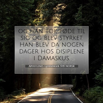 Picture 07 - Apostlenes gjerninger 9:19 NORSK - og han tok føde til sig og blev styrket. Han - Bible Verse Picture