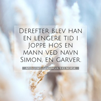 Picture 07 - Apostlenes gjerninger 9:43 NORSK - Derefter blev han en lengere tid i Joppe hos en - Bible Verse Picture