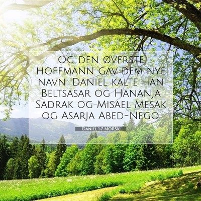 Picture 07 - Daniel 1:7 NORSK - Og den øverste hoffmann gav dem nye navn: Daniel - Bible Verse Picture