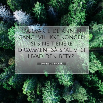 Picture 07 - Daniel 2:7 NORSK - Da svarte de annen gang: Vil ikke kongen si sine - Bible Verse Picture