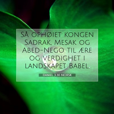 Picture 07 - Daniel 3:30 NORSK - Så ophøiet kongen Sadrak, Mesak og Abed-Nego - Bible Verse Picture