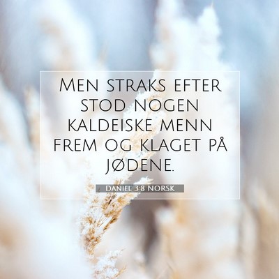 Picture 07 - Daniel 3:8 NORSK - Men straks efter stod nogen kaldeiske menn frem - Bible Verse Picture