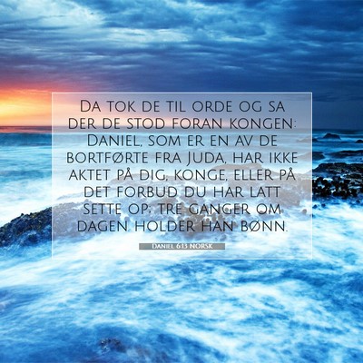 Picture 07 - Daniel 6:13 NORSK - Da tok de til orde og sa der de stod foran - Bible Verse Picture