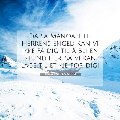 Picture 07 - Dommerne 13:15 NORSK - Da sa Manoah til Herrens engel: Kan vi ikke få - Bible Verse Picture