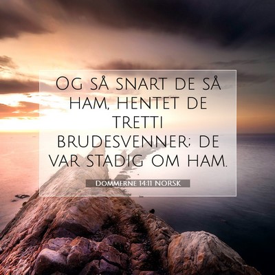 Picture 07 - Dommerne 14:11 NORSK - Og så snart de så ham, hentet de tretti - Bible Verse Picture