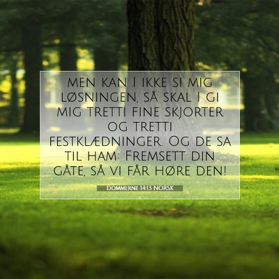 Picture 07 - Dommerne 14:13 NORSK - men kan I ikke si mig løsningen, så skal I gi - Bible Verse Picture