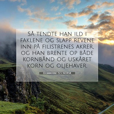 Picture 07 - Dommerne 15:5 NORSK - Så tendte han ild i faklene og slapp revene inn - Bible Verse Picture
