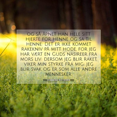 Picture 07 - Dommerne 16:17 NORSK - og så åpnet han hele sitt hjerte for henne og - Bible Verse Picture