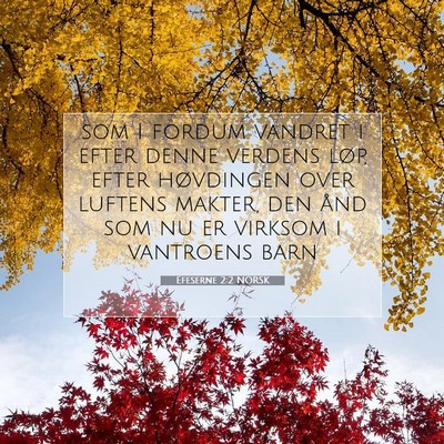Picture 07 - Efeserne 2:2 NORSK - som I fordum vandret i efter denne verdens løp, - Bible Verse Picture