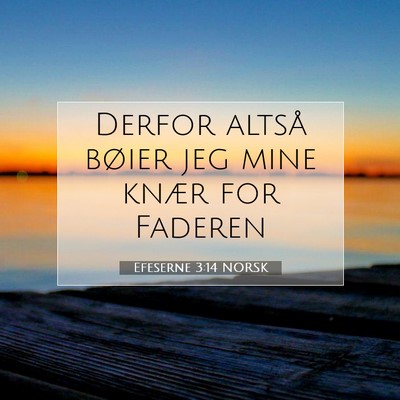 Picture 07 - Efeserne 3:14 NORSK - Derfor altså bøier jeg mine knær for - Bible Verse Picture