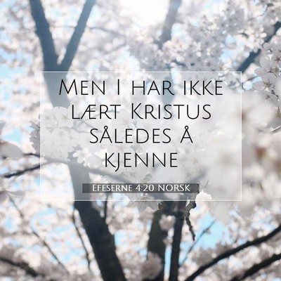 Picture 07 - Efeserne 4:20 NORSK - Men I har ikke lært Kristus således å - Bible Verse Picture