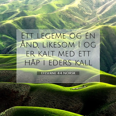Picture 07 - Efeserne 4:4 NORSK - Ett legeme og én Ånd, likesom I og er kalt med - Bible Verse Picture