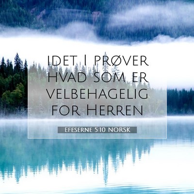 Picture 07 - Efeserne 5:10 NORSK - idet I prøver hvad som er velbehagelig for - Bible Verse Picture