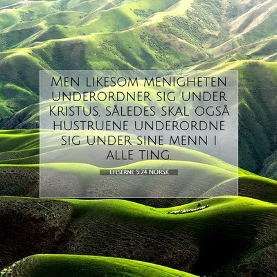 Picture 07 - Efeserne 5:24 NORSK - Men likesom menigheten underordner sig under - Bible Verse Picture