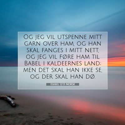 Picture 07 - Esekiel 12:13 NORSK - Og jeg vil utspenne mitt garn over ham, og han - Bible Verse Picture
