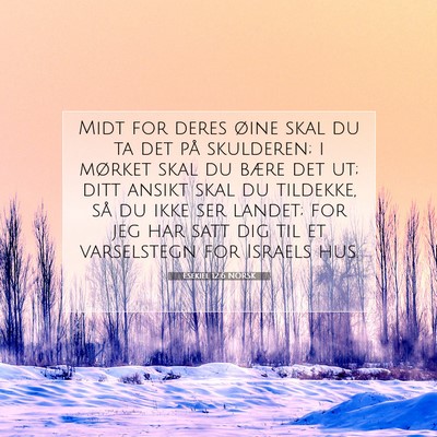 Picture 07 - Esekiel 12:6 NORSK - Midt for deres øine skal du ta det på - Bible Verse Picture