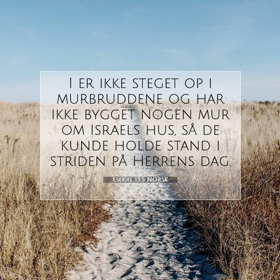 Picture 07 - Esekiel 13:5 NORSK - I er ikke steget op i murbruddene og har ikke - Bible Verse Picture