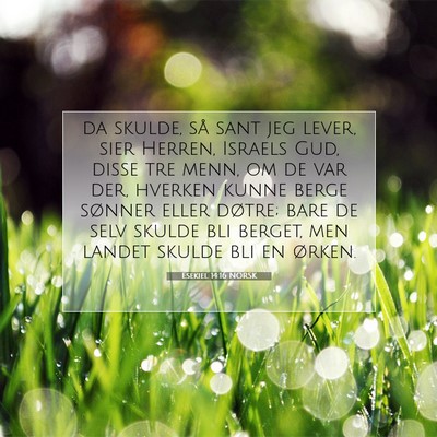 Picture 07 - Esekiel 14:16 NORSK - da skulde, så sant jeg lever, sier Herren, - Bible Verse Picture