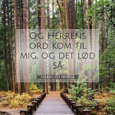 Picture 07 - Esekiel 15:1 NORSK - Og Herrens ord kom til mig, og det lød - Bible Verse Picture