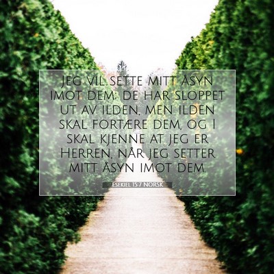 Picture 07 - Esekiel 15:7 NORSK - Jeg vil sette mitt åsyn imot dem; de har sloppet - Bible Verse Picture