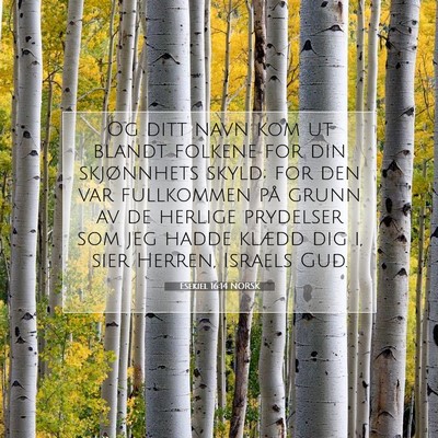 Picture 07 - Esekiel 16:14 NORSK - Og ditt navn kom ut blandt folkene for din - Bible Verse Picture