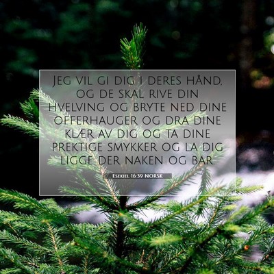 Picture 07 - Esekiel 16:39 NORSK - Jeg vil gi dig i deres hånd, og de skal rive din - Bible Verse Picture
