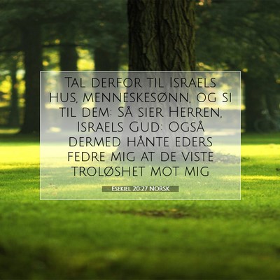 Picture 07 - Esekiel 20:27 NORSK - Tal derfor til Israels hus, menneskesønn, og si - Bible Verse Picture