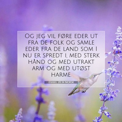 Picture 07 - Esekiel 20:34 NORSK - Og jeg vil føre eder ut fra de folk og samle - Bible Verse Picture
