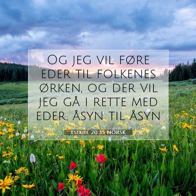 Picture 07 - Esekiel 20:35 NORSK - Og jeg vil føre eder til folkenes ørken, og der - Bible Verse Picture