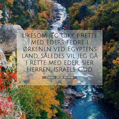 Picture 07 - Esekiel 20:36 NORSK - likesom jeg gikk i rette med eders fedre i - Bible Verse Picture