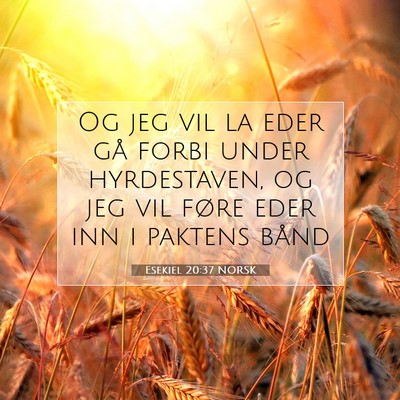 Picture 07 - Esekiel 20:37 NORSK - Og jeg vil la eder gå forbi under hyrdestaven, - Bible Verse Picture