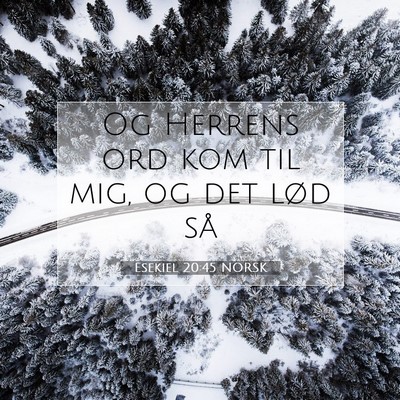 Picture 07 - Esekiel 20:45 NORSK - Og Herrens ord kom til mig, og det lød - Bible Verse Picture