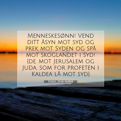 Picture 07 - Esekiel 20:46 NORSK - Menneskesønn! Vend ditt åsyn mot syd og prek - Bible Verse Picture