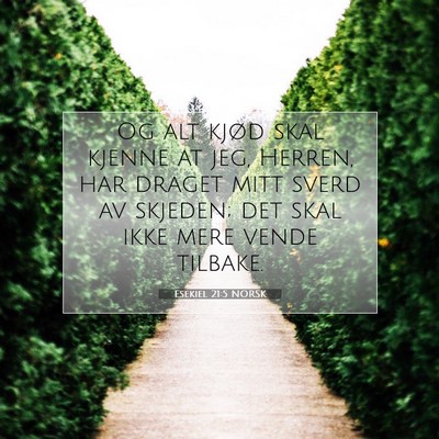 Picture 07 - Esekiel 21:5 NORSK - Og alt kjød skal kjenne at jeg, Herren, har - Bible Verse Picture