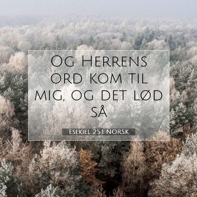 Picture 07 - Esekiel 25:1 NORSK - Og Herrens ord kom til mig, og det lød - Bible Verse Picture