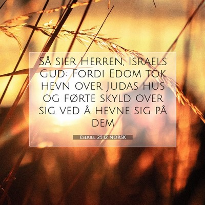 Picture 07 - Esekiel 25:12 NORSK - Så sier Herren, Israels Gud: Fordi Edom tok hevn - Bible Verse Picture