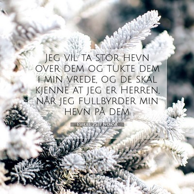 Picture 07 - Esekiel 25:17 NORSK - Jeg vil ta stor hevn over dem og tukte dem i min - Bible Verse Picture