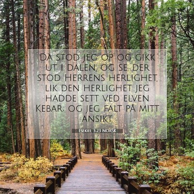 Picture 07 - Esekiel 3:23 NORSK - Da stod jeg op og gikk ut i dalen, og se, der - Bible Verse Picture