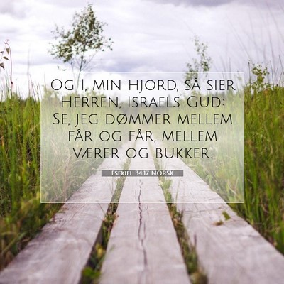 Picture 07 - Esekiel 34:17 NORSK - Og I, min hjord, så sier Herren, Israels Gud: - Bible Verse Picture