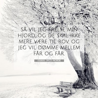 Picture 07 - Esekiel 34:22 NORSK - så vil jeg frelse min hjord, og de skal ikke - Bible Verse Picture