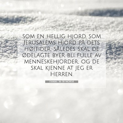 Picture 07 - Esekiel 36:38 NORSK - som en hellig hjord, som Jerusalems hjord på - Bible Verse Picture