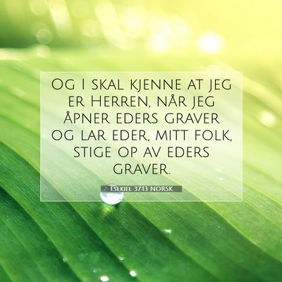 Picture 07 - Esekiel 37:13 NORSK - Og I skal kjenne at jeg er Herren, når jeg - Bible Verse Picture