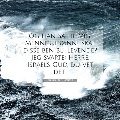 Picture 07 - Esekiel 37:3 NORSK - Og han sa til mig: Menneskesønn! Skal disse ben - Bible Verse Picture