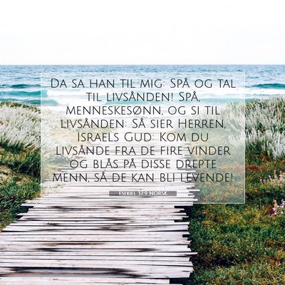 Picture 07 - Esekiel 37:9 NORSK - Da sa han til mig: Spå og tal til livsånden! - Bible Verse Picture