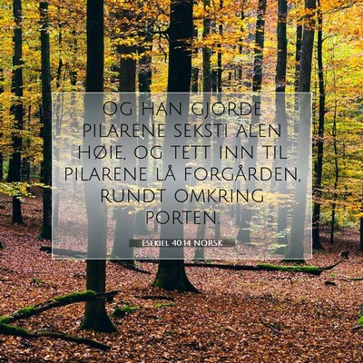 Picture 07 - Esekiel 40:14 NORSK - Og han gjorde pilarene seksti alen høie, og tett - Bible Verse Picture