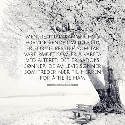 Picture 07 - Esekiel 40:46 NORSK - men den rad kammer hvis forside vender mot nord, - Bible Verse Picture