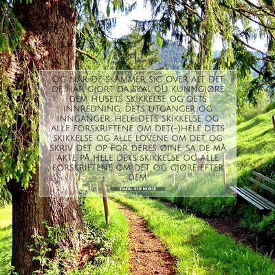 Picture 07 - Esekiel 43:11 NORSK - Og når de skammer sig over alt det de har gjort, - Bible Verse Picture